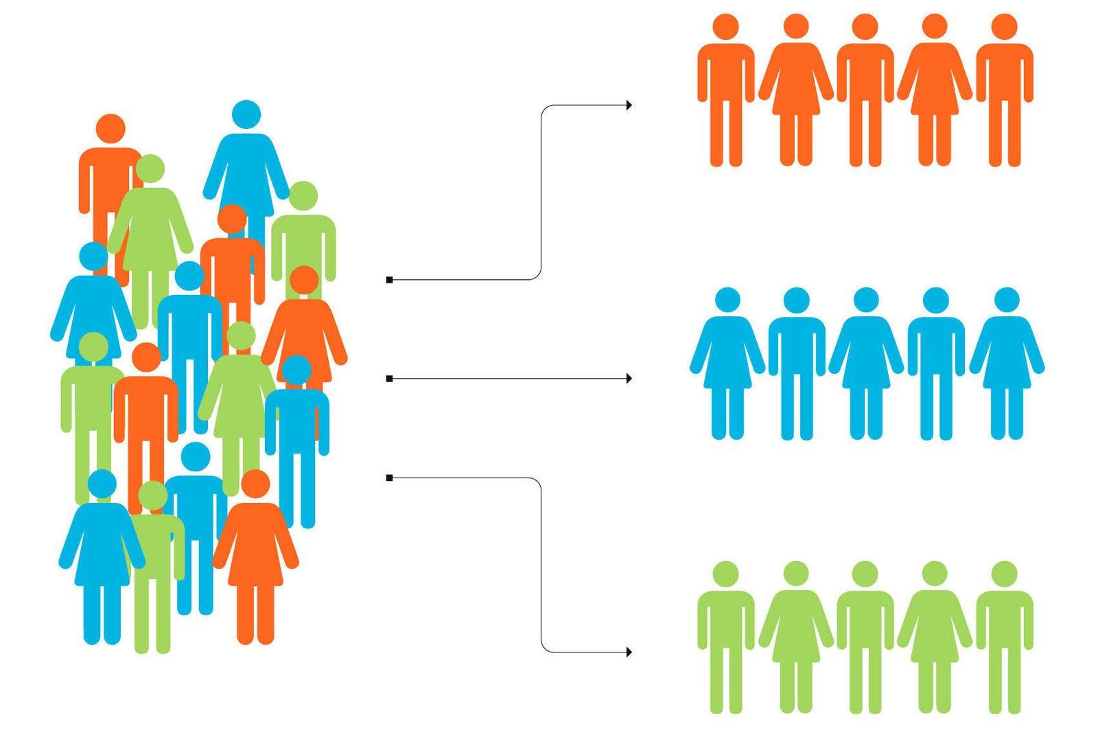 Audience Segmentation